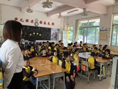 重庆小学爆料事件最新,揭开校园安全与管理的隐秘面纱 第2张 重庆小学爆料事件最新,揭开校园安全与管理的隐秘面纱 第2张