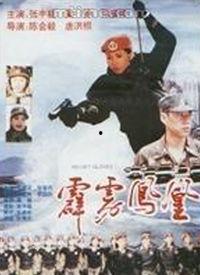 劈雳凤凰全集在线观看,传奇仙侠，热血激战，在线观看，尽享仙侠盛宴  第2张