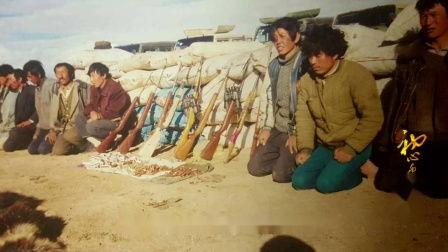 可可西里在线观看,在线观看之旅 第3张 可可西里在线观看,在线观看之旅 第3张