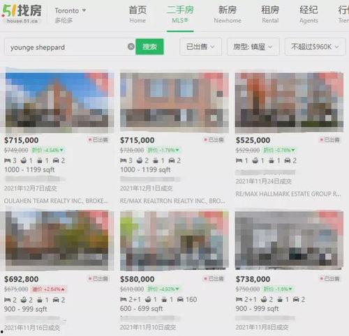 多伦多最新爆料,揭秘城市热点事件背后的真相